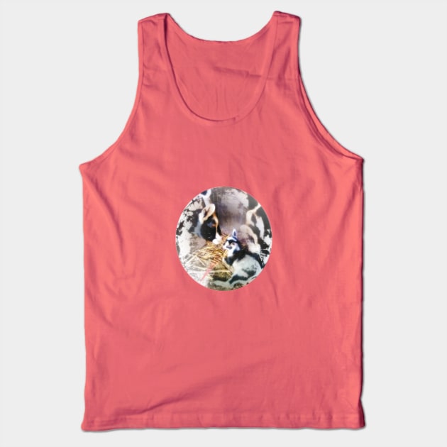 Goat love Tank Top by damonbostrom